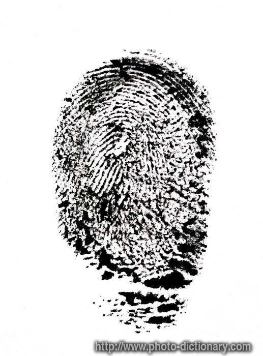 thumb print - photo/picture definition - thumb print word and phrase image