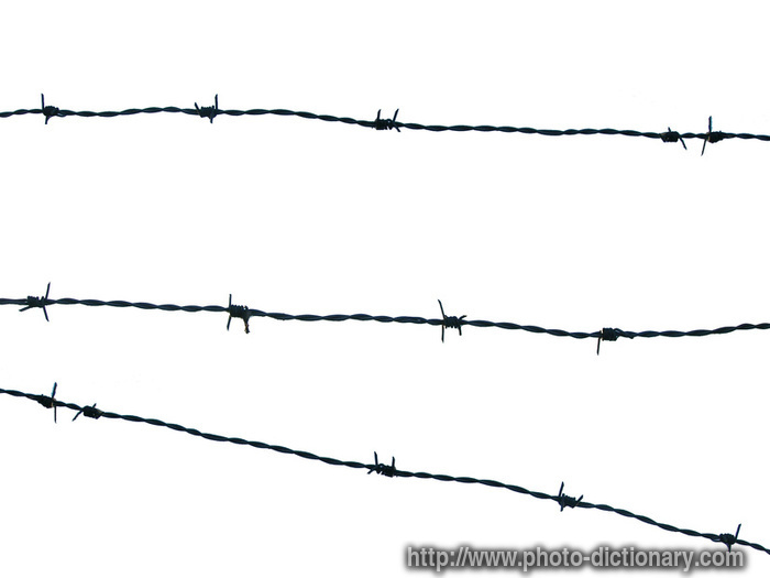 barbed wire - photo/picture definition - barbed wire word and phrase image