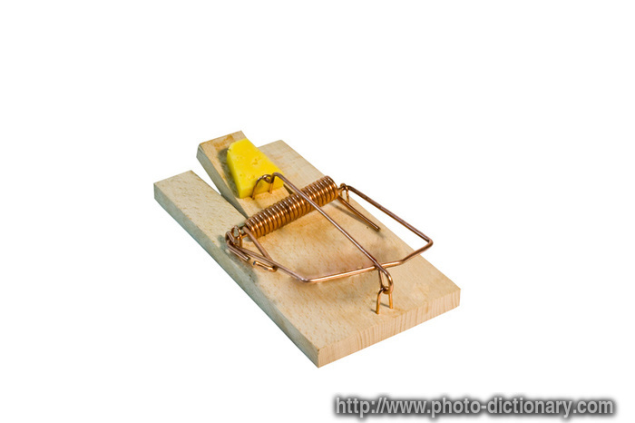 mousetrap - photo/picture definition - mousetrap word and phrase image