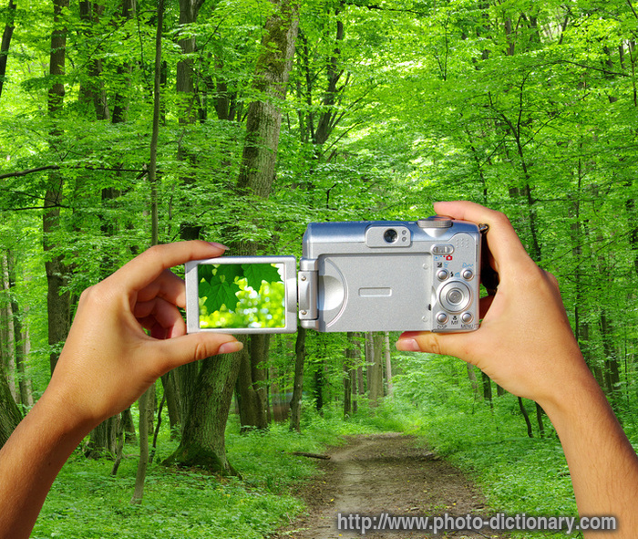 digital camera - photo/picture definition - digital camera word and phrase image