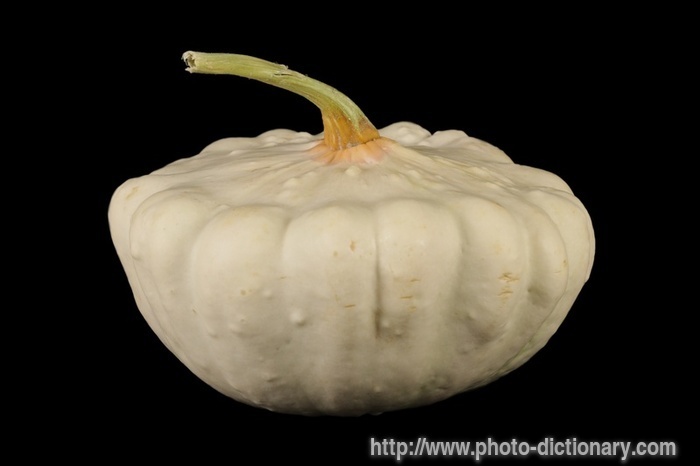 pattypan - photo/picture definition - pattypan word and phrase image