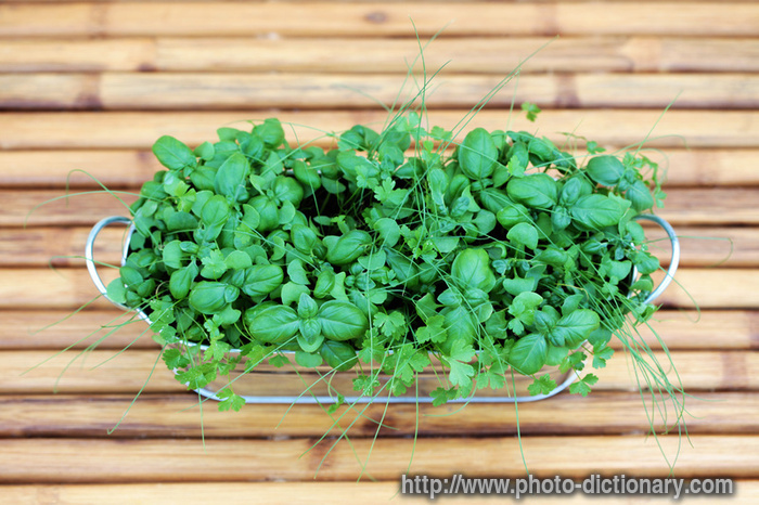 fresh herbs - photo/picture definition - fresh herbs word and phrase image