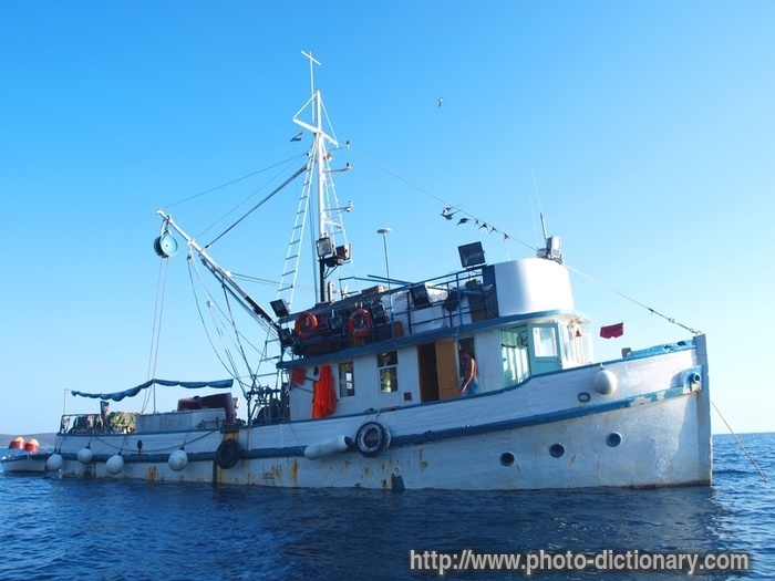 fish ship - photo/picture definition - fish ship word and phrase image