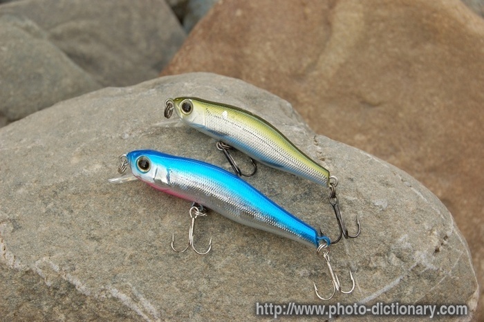 fishing lures photopicture definition at photo dictionary fishing lures 700x466