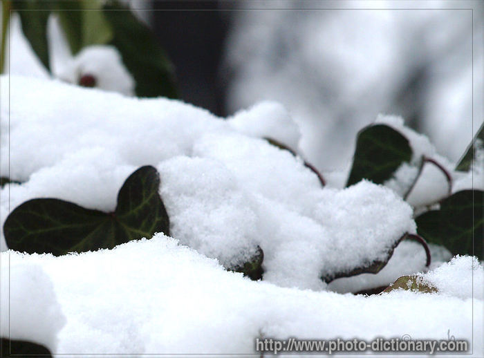 snow - photo/picture definition - snow word and phrase image