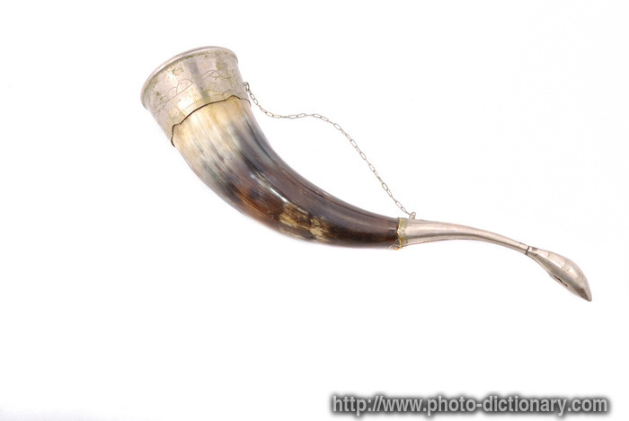 cow horn - photo/picture definition - cow horn word and phrase image
