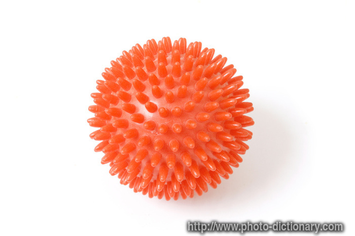 massage ball - photo/picture definition - massage ball word and phrase image