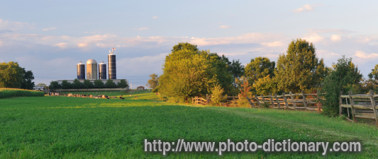 Dairy Farm - photo/picture definition - Dairy Farm word and phrase image