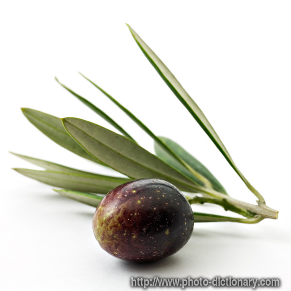 olive - photo/picture definition - olive word and phrase image