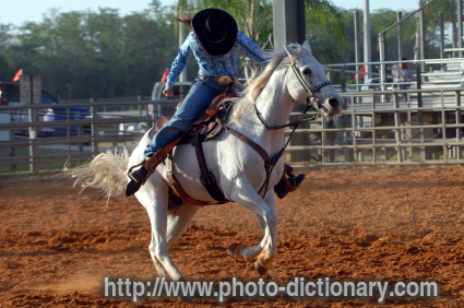 cowgirl - photo/picture definition - cowgirl word and phrase image