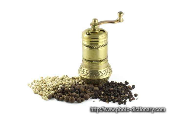 spice mill - photo/picture definition - spice mill word and phrase image