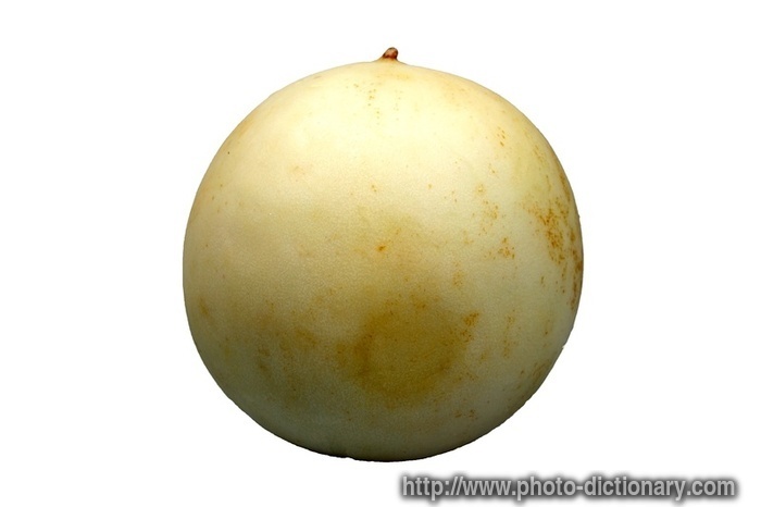 honeydew melon - photo/picture definition - honeydew melon word and phrase image