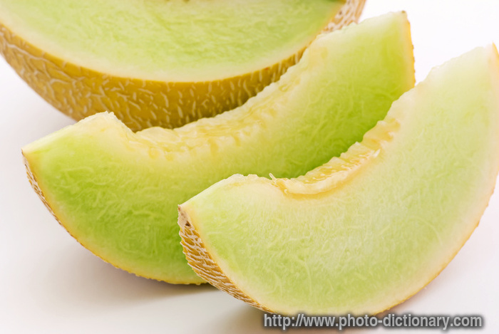honeydew melon - photo/picture definition - honeydew melon word and phrase image