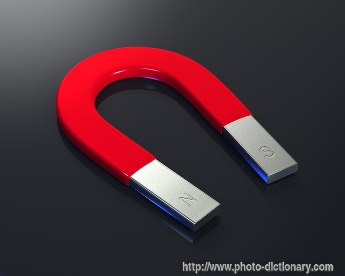 horseshoe magnet - photo/picture definition - horseshoe magnet word and phrase image
