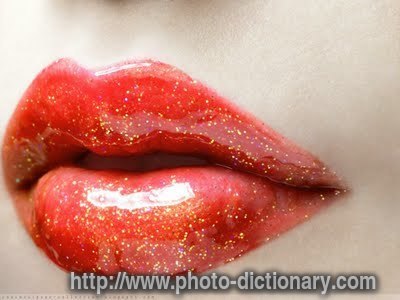 lips - photo/picture definition - lips word and phrase image