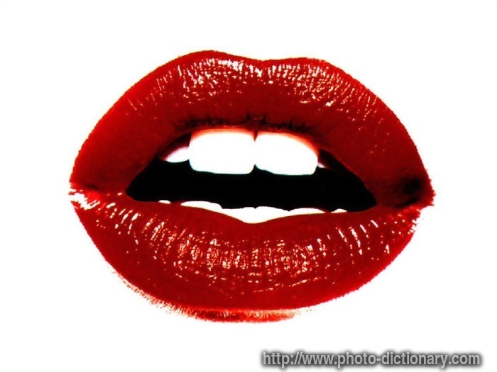 lips - photo/picture definition - lips word and phrase image