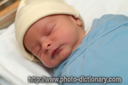 newborn - photo/picture definition - newborn word and phrase image