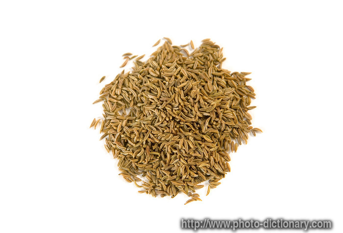 caraway seeds - photo/picture definition - caraway seeds word and phrase image