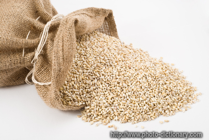 pearl barley - photo/picture definition - pearl barley word and phrase image