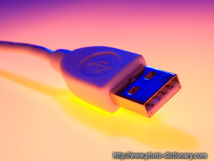 usb cable - photo/picture definition - usb cable word and phrase image