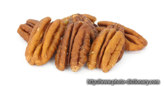 pecan nuts - photo/picture definition - pecan nuts word and phrase image