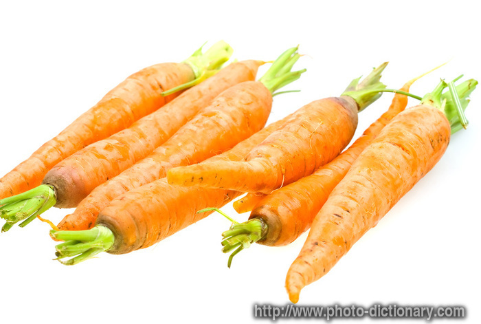 carrots - photo/picture definition - carrots word and phrase image