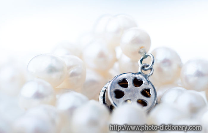 necklace clasp - photo/picture definition - necklace clasp word and phrase image
