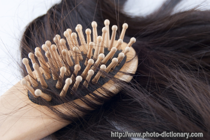hairloss - photo/picture definition - hairloss word and phrase image
