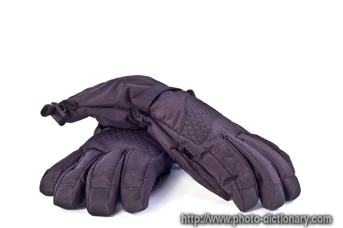 sports gloves - photo/picture definition - sports gloves word and phrase image