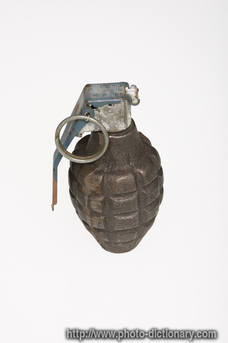 grenade - photo/picture definition - grenade word and phrase image