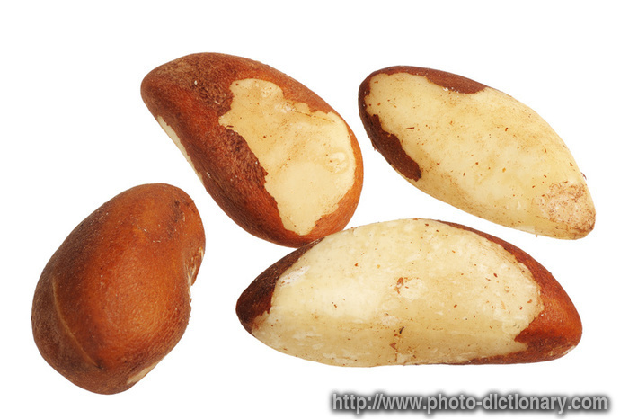 Brazil nut - photo/picture definition - Brazil nut word and phrase image