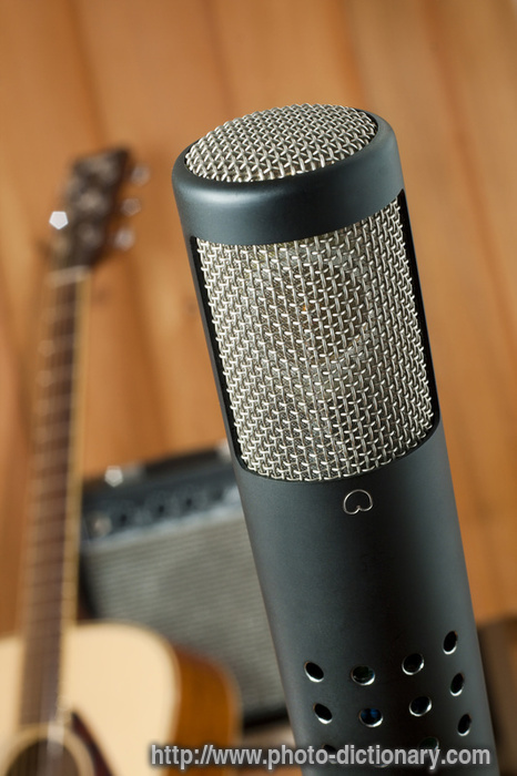 tube microphone - photo/picture definition - tube microphone word and phrase image
