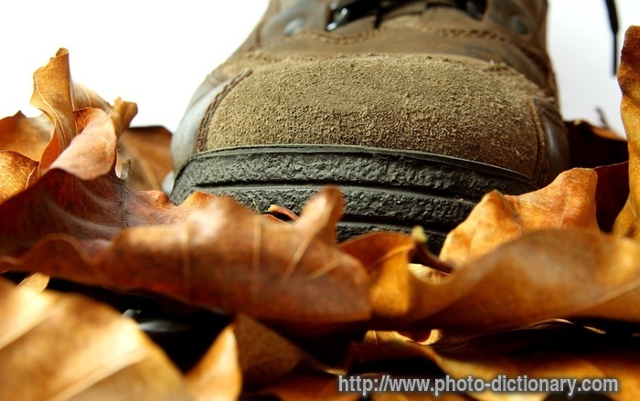 hiking shoe - photo/picture definition - hiking shoe word and phrase image