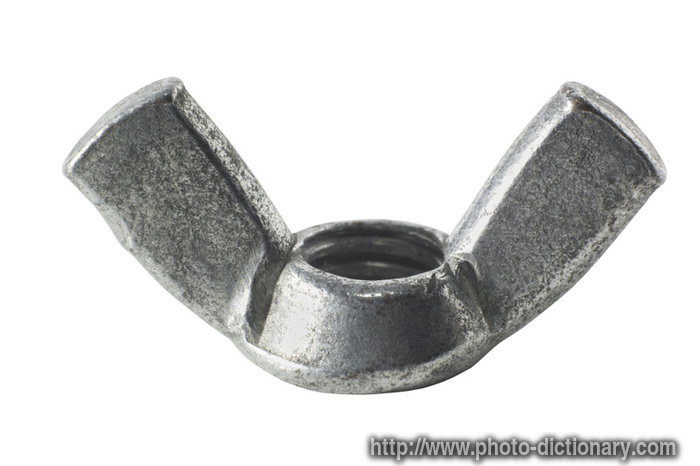 wing nut - photo/picture definition - wing nut word and phrase image