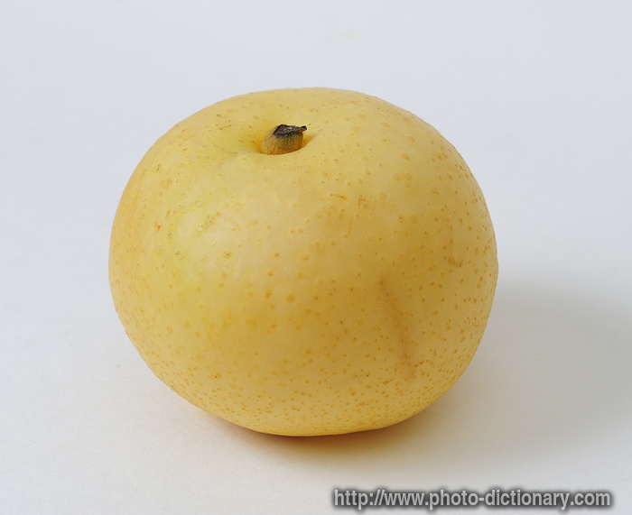 Asian pear - photo/picture definition - Asian pear word and phrase image