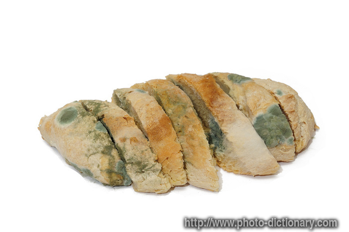 molded bread - photo/picture definition - molded bread word and phrase image