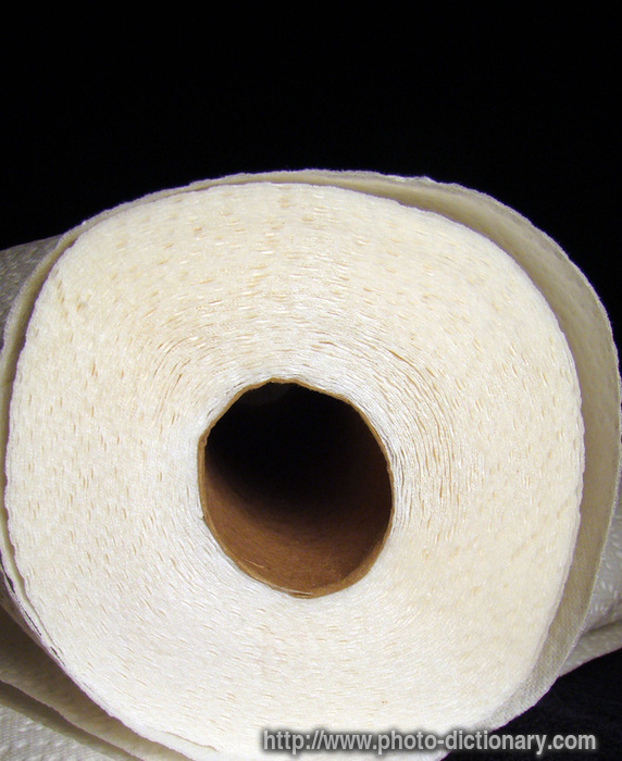 paper towels - photo/picture definition - paper towels word and phrase image