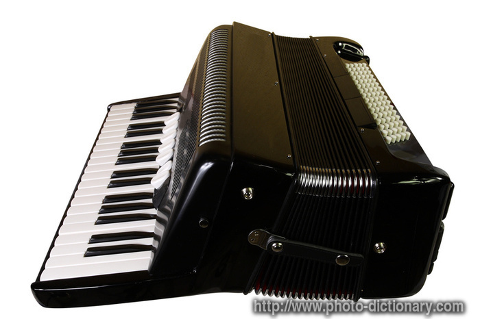 accordion - photo/picture definition - accordion word and phrase image