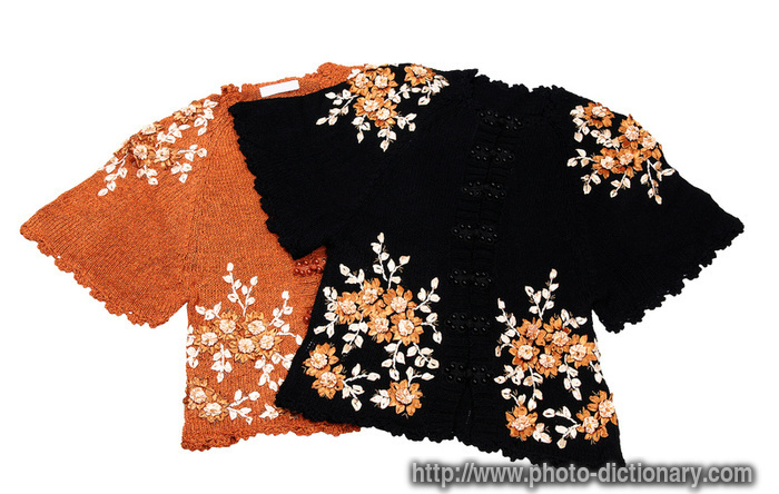lacy blouses - photo/picture definition - lacy blouses word and phrase image