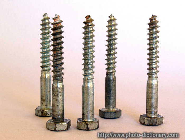 screws - photo/picture definition - screws word and phrase image