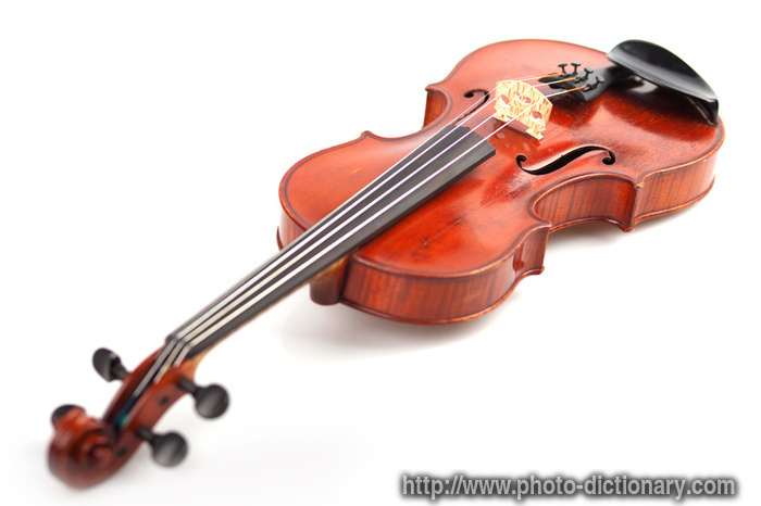 violin - photo/picture definition - violin word and phrase image