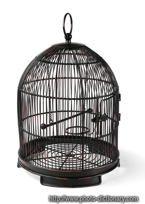 birdcage - photo/picture definition - birdcage word and phrase image