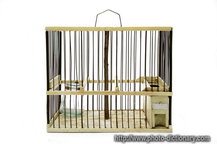 birdcage - photo/picture definition - birdcage word and phrase image