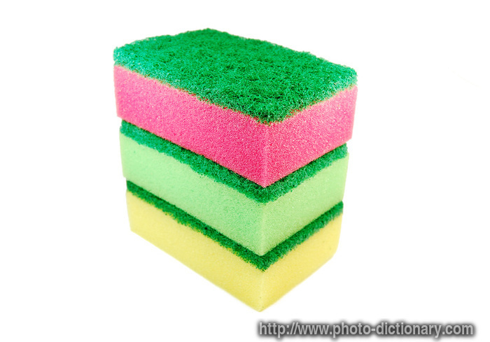 sponges - photo/picture definition - sponges word and phrase image