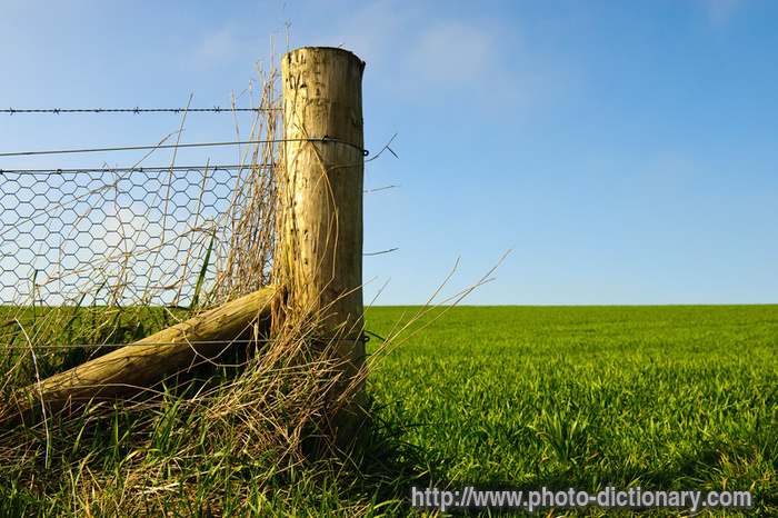 fence - photo/picture definition - fence word and phrase image