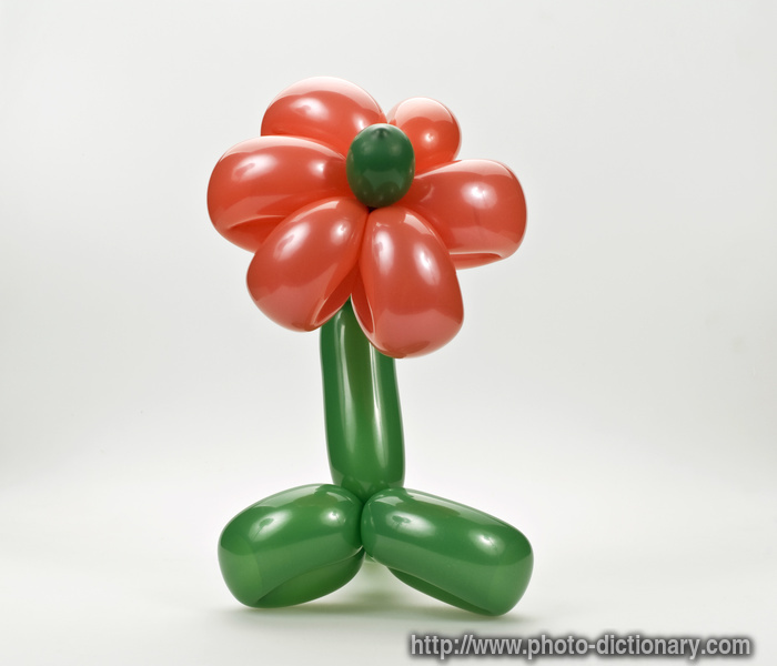 balloon flower - photo/picture definition - balloon flower word and phrase image