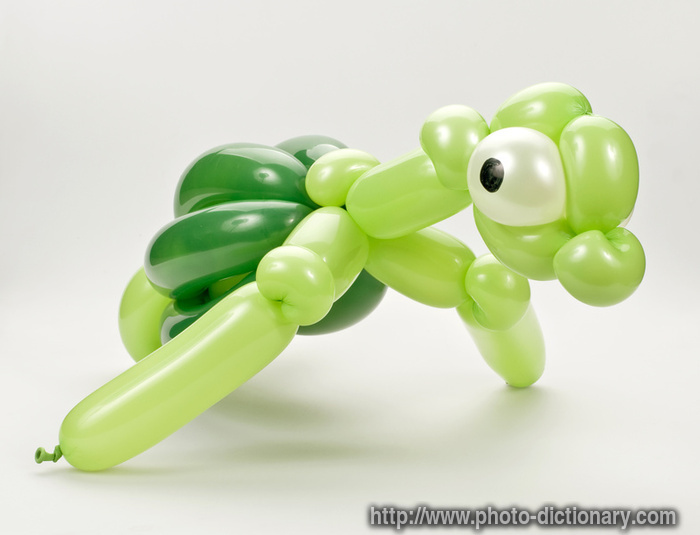 balloon turtle - photo/picture definition - balloon turtle word and phrase image