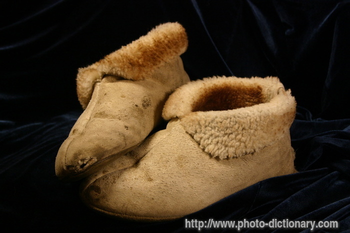 moccasins - photo/picture definition - moccasins word and phrase image