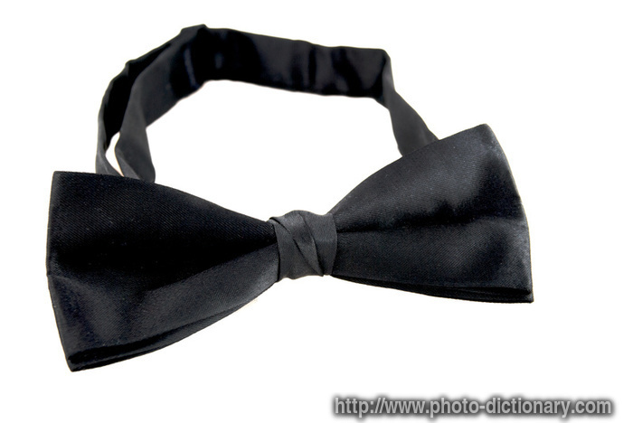 bow tie - photo/picture definition - bow tie word and phrase image