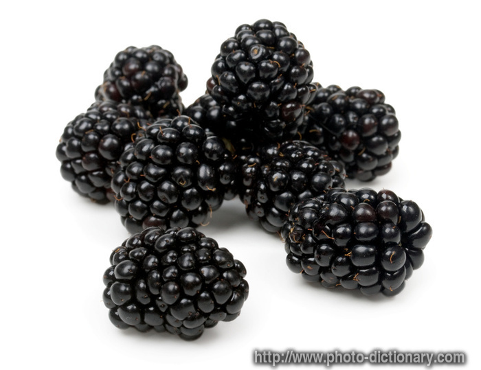 blackberry - photo/picture definition - blackberry word and phrase image